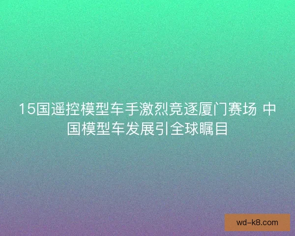 15国遥控模型车手激烈竞逐厦门赛场 中国模型车发展引全球瞩目
